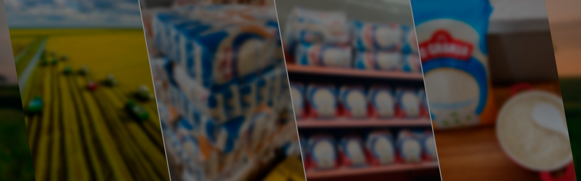 Banner Fixo